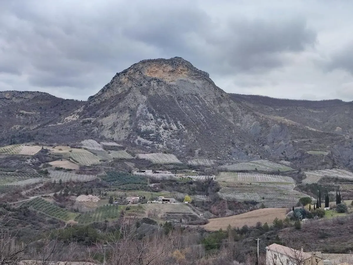 Le Vieil Olivier Villa Sahune